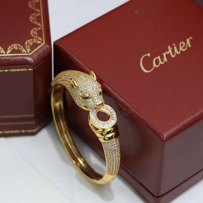 Picture of Cartier Bracelet _SKUCartierbracelet11lyx371269
